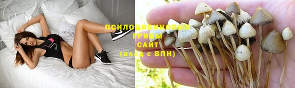 гидра Абдулино