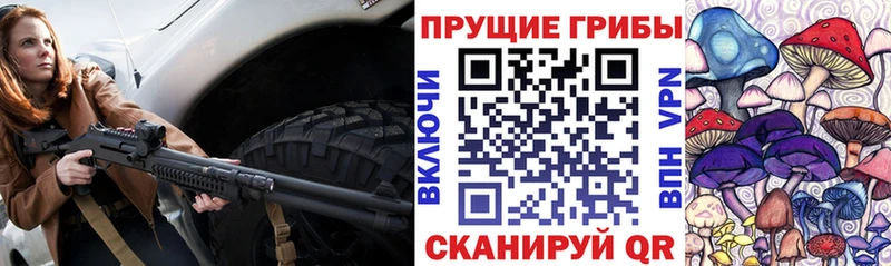 Псилоцибиновые грибы Cubensis  ОМГ ОМГ ТОР  нарко площадка официальный сайт  Чита 